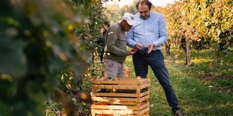 CECCHETTO PRESENTA IL BILANCIO DI SOSTENIBILITÀ