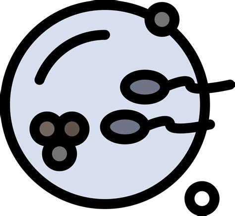 Fertile Procreation Reproduction Sex Flat Color Icon Vector Icon Banner Template Vector