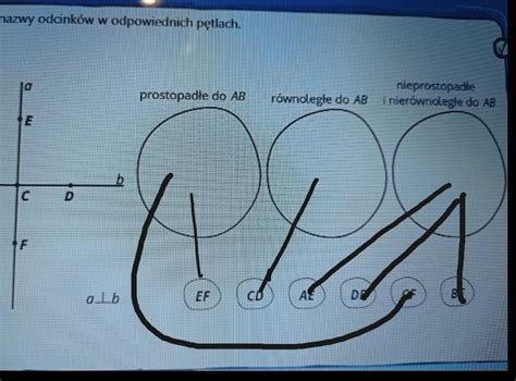 Umie Nazwy Odcink W W Odpowiednich P Tlach Matlandia Brainly Pl