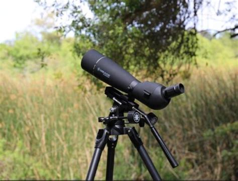 7 Best Spotting Scope Tripods for Birding - Binotele