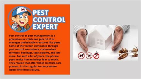 Ppt Pest Control Specialists Pest Control Expert Powerpoint Presentation Id 11390084