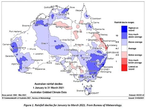 Cyclone sets up WA for record canola seeding - Grain Central