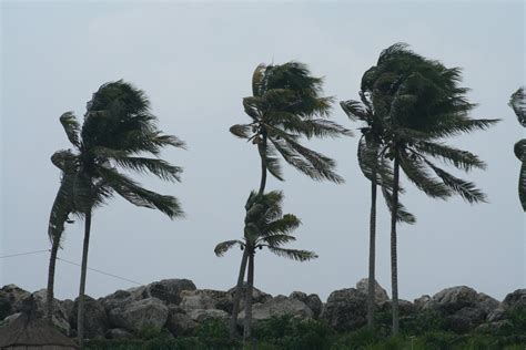 Free strong wind Stock Photo - FreeImages.com