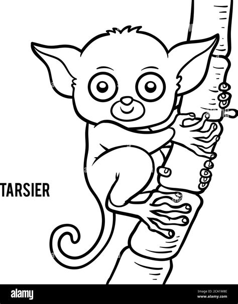 Tarsier eyes Black and White Stock Photos & Images - Alamy