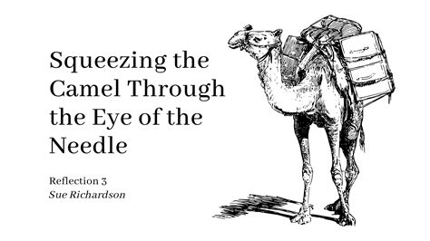 Squeezing The Camel Through The Eye Of The Needle Pt 3 JustMoney Movement