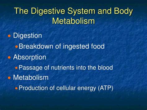 PPT Chapter 14 The Digestive System And Body Metabolism PowerPoint