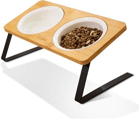 Elevated Ceramic Cat Bowls For Food And Water 15 ° Tilted