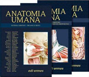 Trattato Di Anatomia Umana Anastasi Balboni Libri Di Anatomia