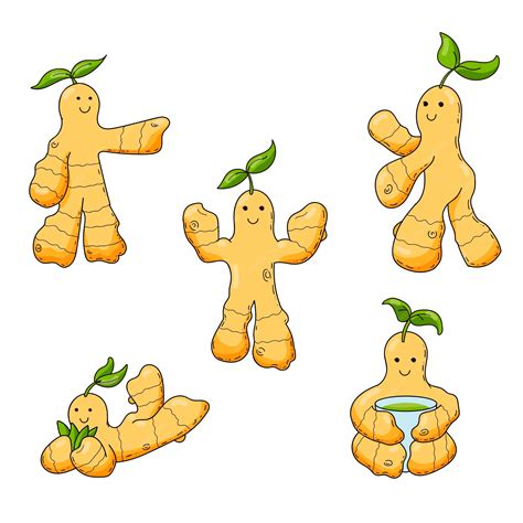 Premium Vector | Funny ginger roots Cute vector characters