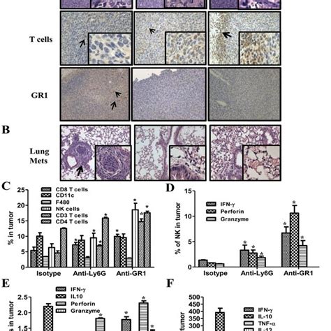 MDSC Depletion Augmented The Frequency And Function Of NK And T Cell