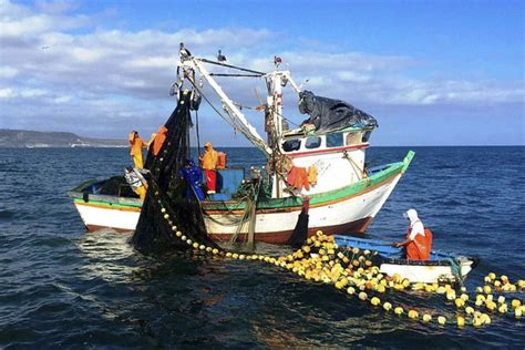 Clasificaci N De Flota Pesquera Artesanal Se Realiza Con Los Pescadores