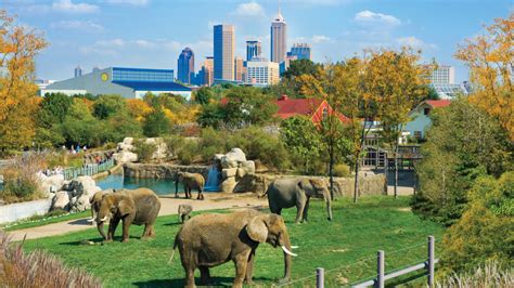 Visiting Indianapolis Zoo | Information, Tips & Exhibits