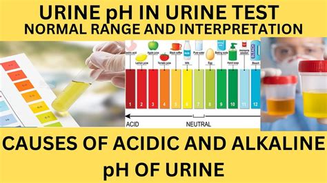 Urine Ph In Urinanalysis Normal Range Of Urine Ph Causes Of Acidic Urine Andalkaline Urine