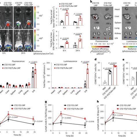 Cellular Immune Responses Induced By Adjuvant Lipidoid Substituted