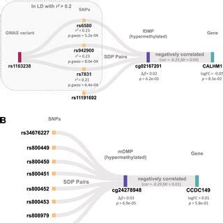 Sex Stratified DMPs Mediate Genetic Effects On Gene Expression A Four