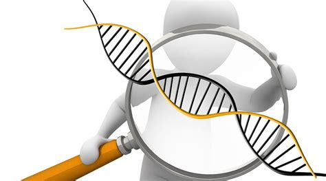 Why doctors recommend chromosome testing to identify rare chromosomal ...