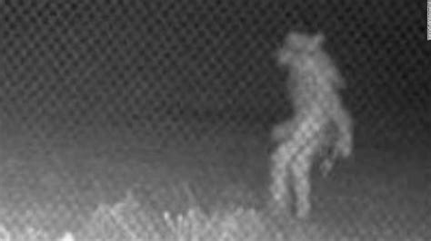 Video Mystery Creature Is Caught On Camera At Amarillo Texas Zoo