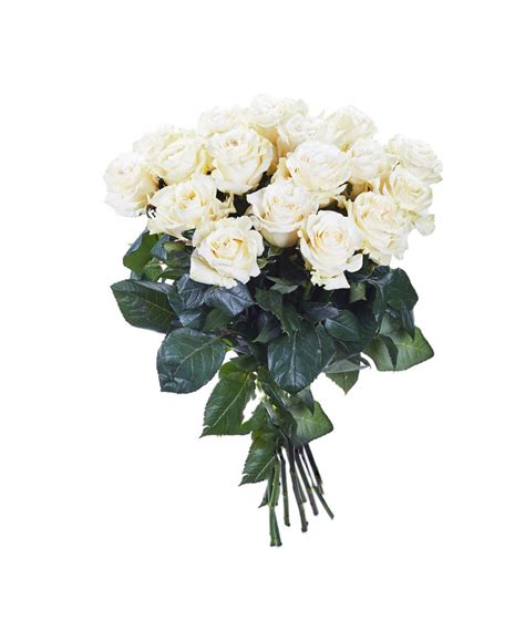 Bouquet De Roses Blanches Longues Tiges Cm Autant De Fleurs Aubagne