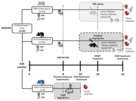 Ijms Special Issue Unraveling The Molecular Impact Of Sex And Gender On Disease Progression