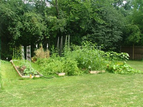 Organic Gardening 101 Everything You Need To Know Peety Passion