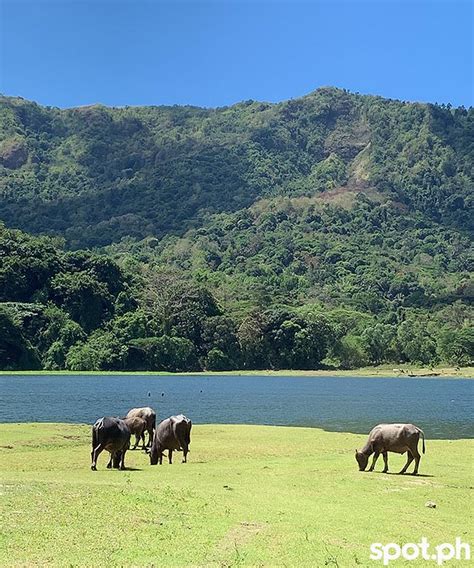 Photos Unforgettable Mapanuepe Lake In Zambales