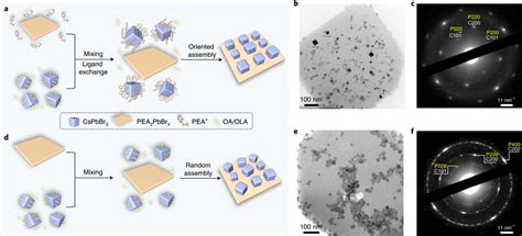 Cspbbr3pea2pbbr4 Heterostructures Via Oriented And Random Assembly A