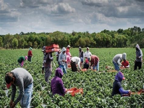 Proyecto De Ley Especial De Las Trabajadoras Y Trabajadores Agr Colas