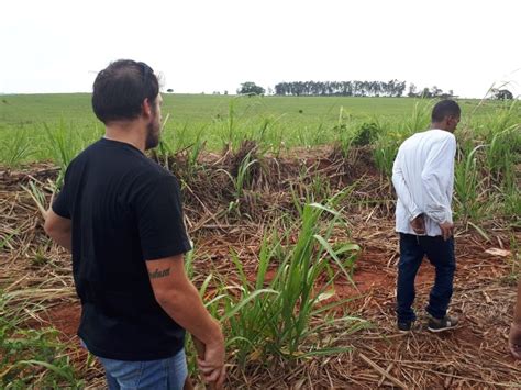 Corpo De Idoso Encontrado Esquartejado E Enterrado Dentro De Mala Em