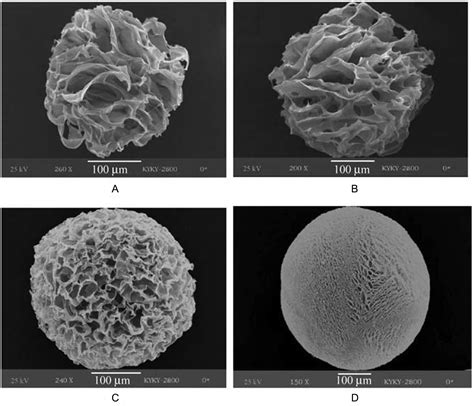 Polymer Based Porous Microcarriers As Cell Delivery Systems For Applications In Bone And