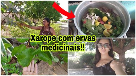 FIZEMOS XAROPE PLANTAS MEDICINAIS Fomos No Mato Pegar As Ervas