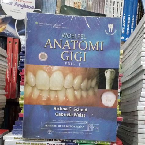 Jual Anatomi Gigi Woelfel Edisi Shopee Indonesia