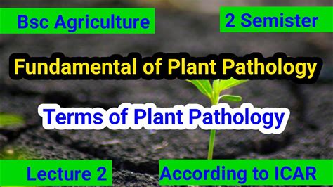 Terms Of Plant Pathology Lecture Bsc Agriculture Fundamental Of