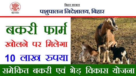 Goat Farm Scheme घर में बकरी है तो 10000 रुपये मिलेंगे फटाफट करें