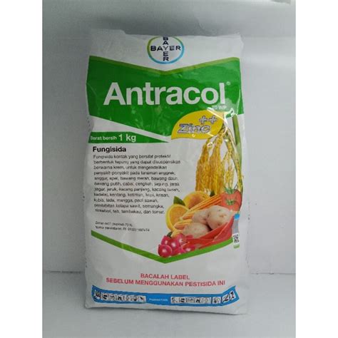 Jual Fungisida Antracol Wp Zinc Kg Shopee Indonesia