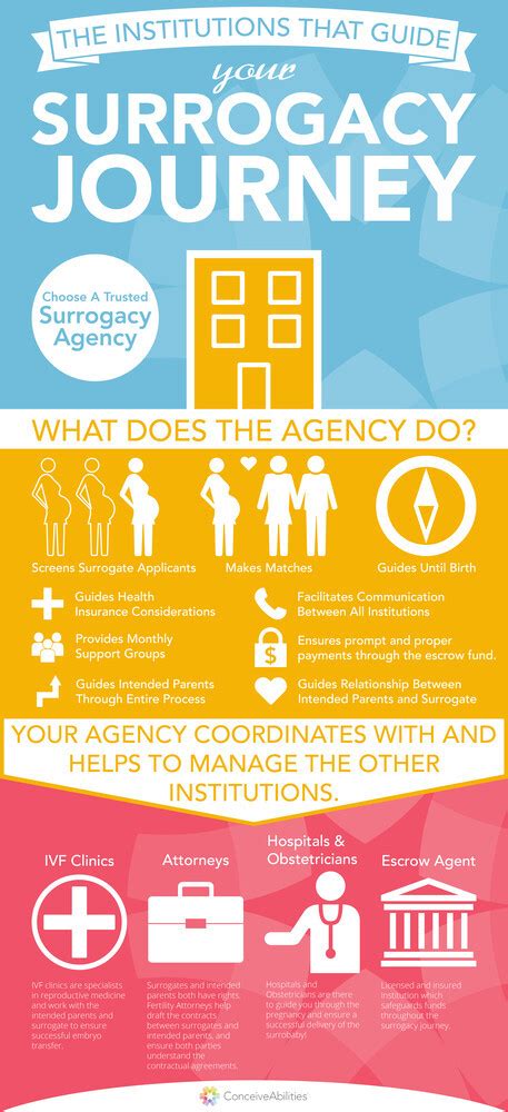 Infographic The Institutions That Guide Your Surrogacy Journey