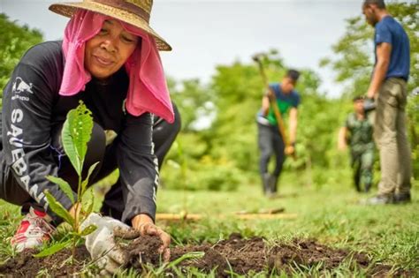 Programa Sembrando Vida Requisitos Y Registro Enero