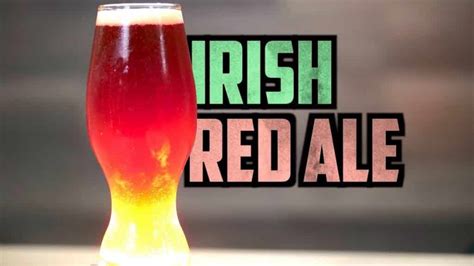 How To Brew Irish Red Ale [Full Recipe] Homebrew Academy