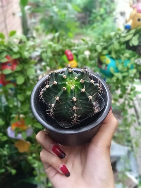 Review รวว Infinix HOT PRO สมารทโฟนราคาประหยดไมถง แบต