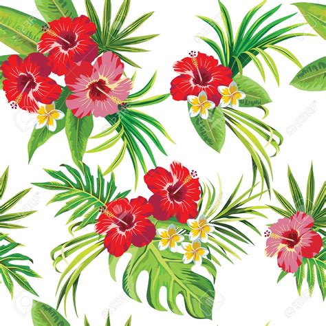 Hibiscus Et Feuilles De Palmier Tropical Motif Floral Clip Art Libres