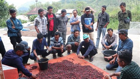 Pelatihan Pengolahan Kopi Dan Proses Paska Panen HaKI