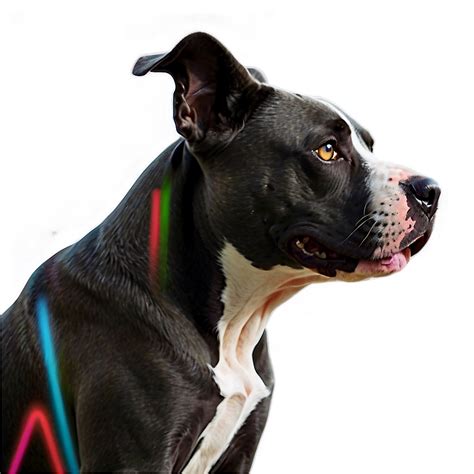 Pitbull Dog Png 05212024 Png Image