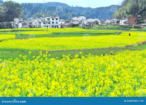 Rural landscape at china stock image. Image of dwellings - 24307059