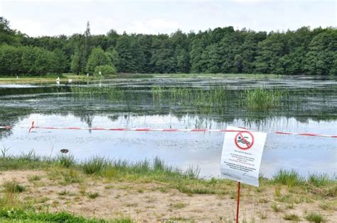 Waldbad In Freiberg Erneut Ohne Wasser