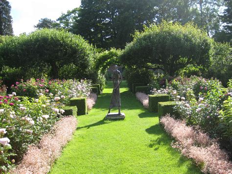 Special Rose Week - Pashley Manor Gardens