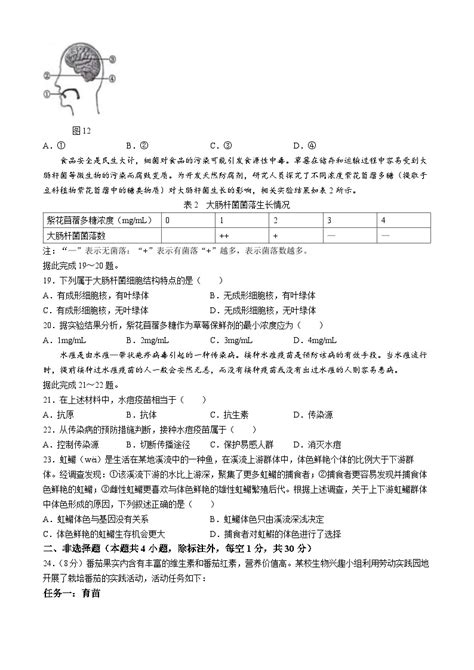 2024年湖北省中考生物试题（含答案） 教习网试卷下载