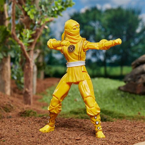 Hasbro Reveals Final Power Rangers Mighty Morphin Ninja Figures