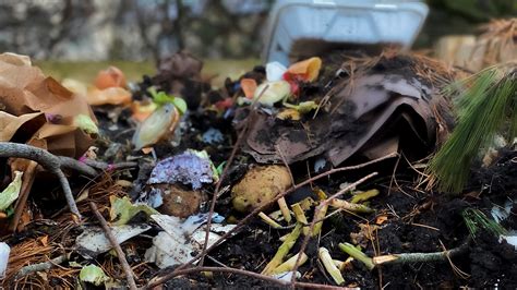 UK study finds 60% of 'compostable plastic' doesn't compost