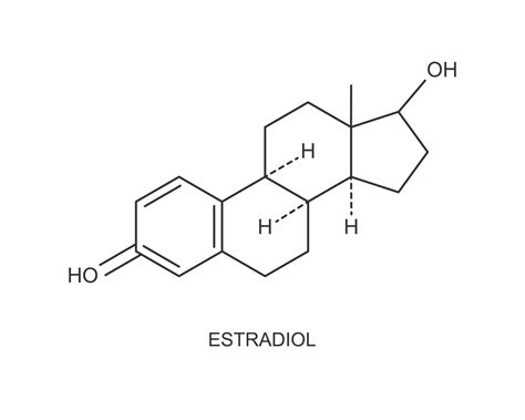 Icono De Estradiol Estructura Molecular Qu Mica Signo De Hormona