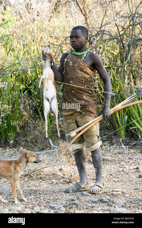 Africa, Tanzania, Lake Eyasi, Hadza hunters with bow and arrow. Hadza ...