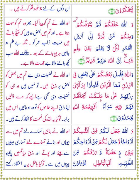 Surah Nahl With Urdu Translation Pdf سورہ النحل